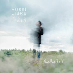 Cover of Aussi libre que l'air
