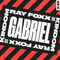 Gabriel (Radio Edit) by Ray Foxx album cover