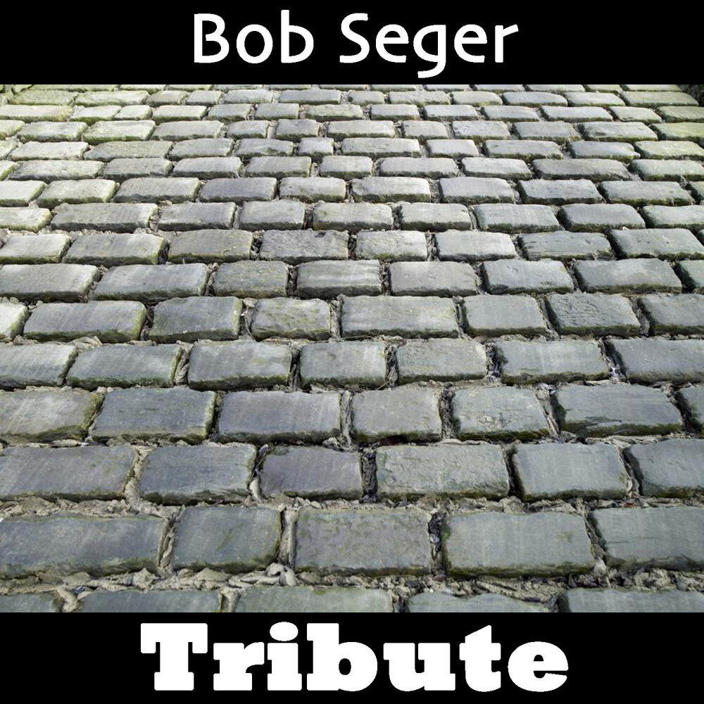 Picture of Hollywood Nights: Tribute To Bob Seger