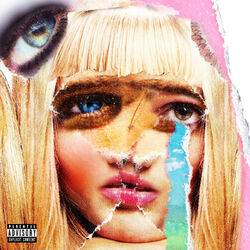 Cover of Pink II