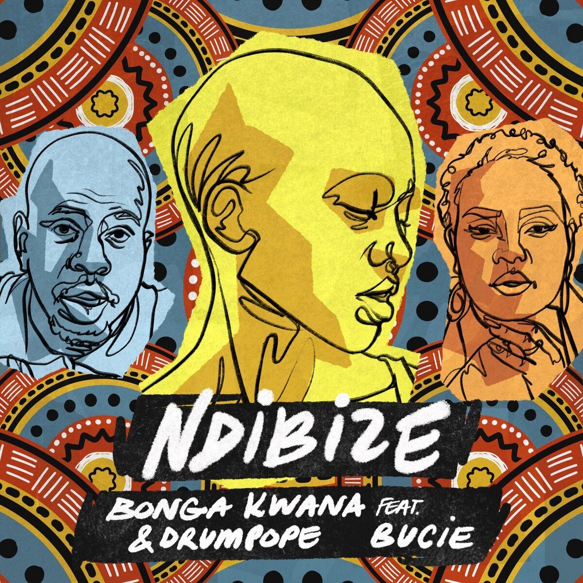 Album cover of Ndibize