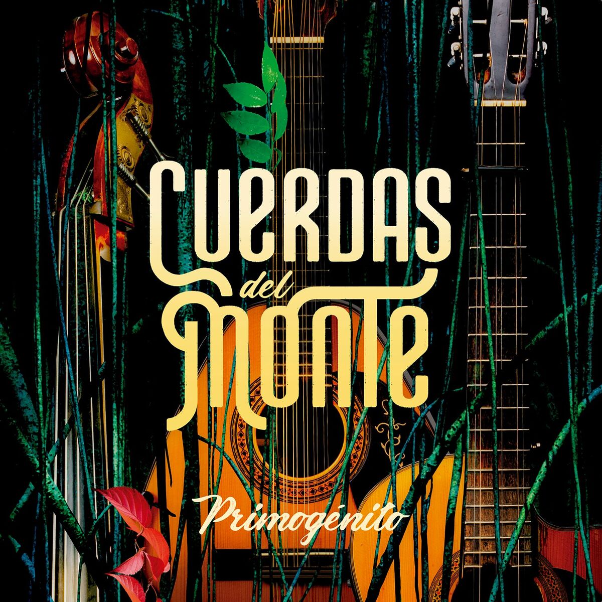Album cover of Primogénito