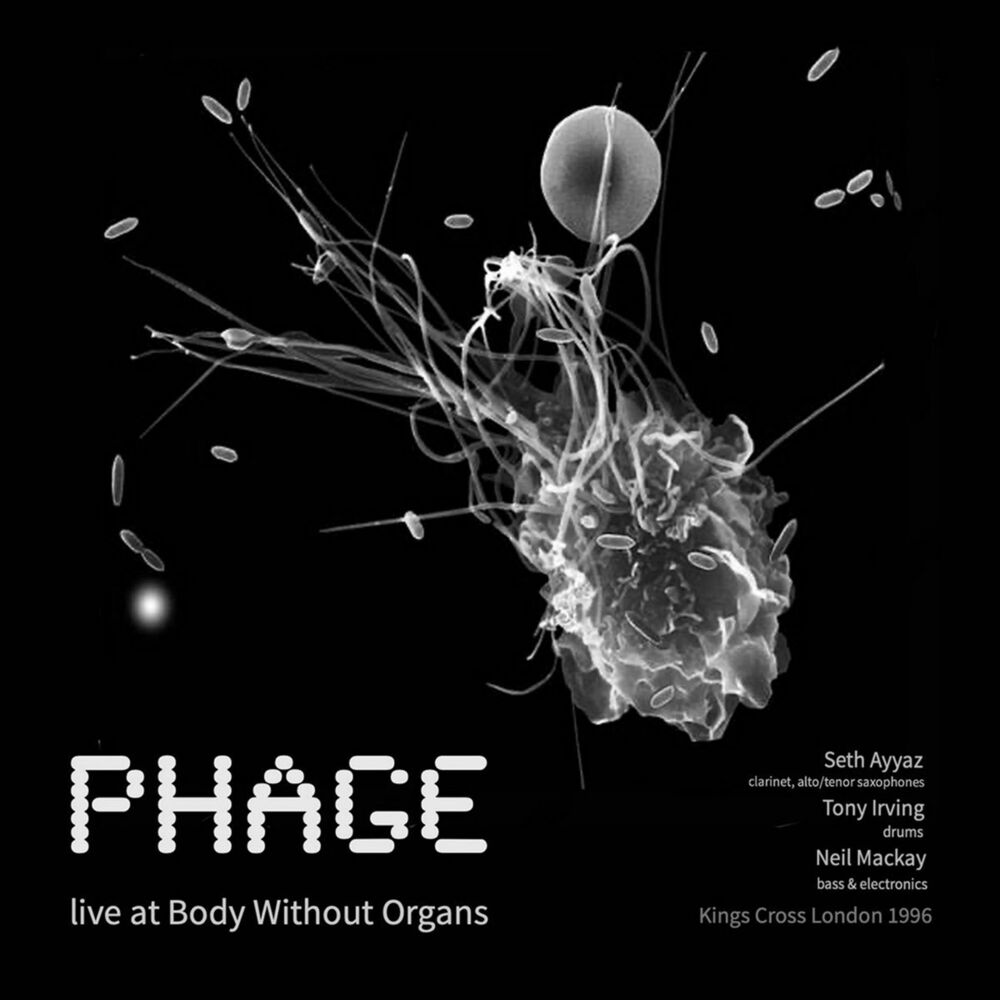 Picture of Live At Body Without Organs