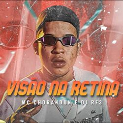 Cover of Visão na Retina