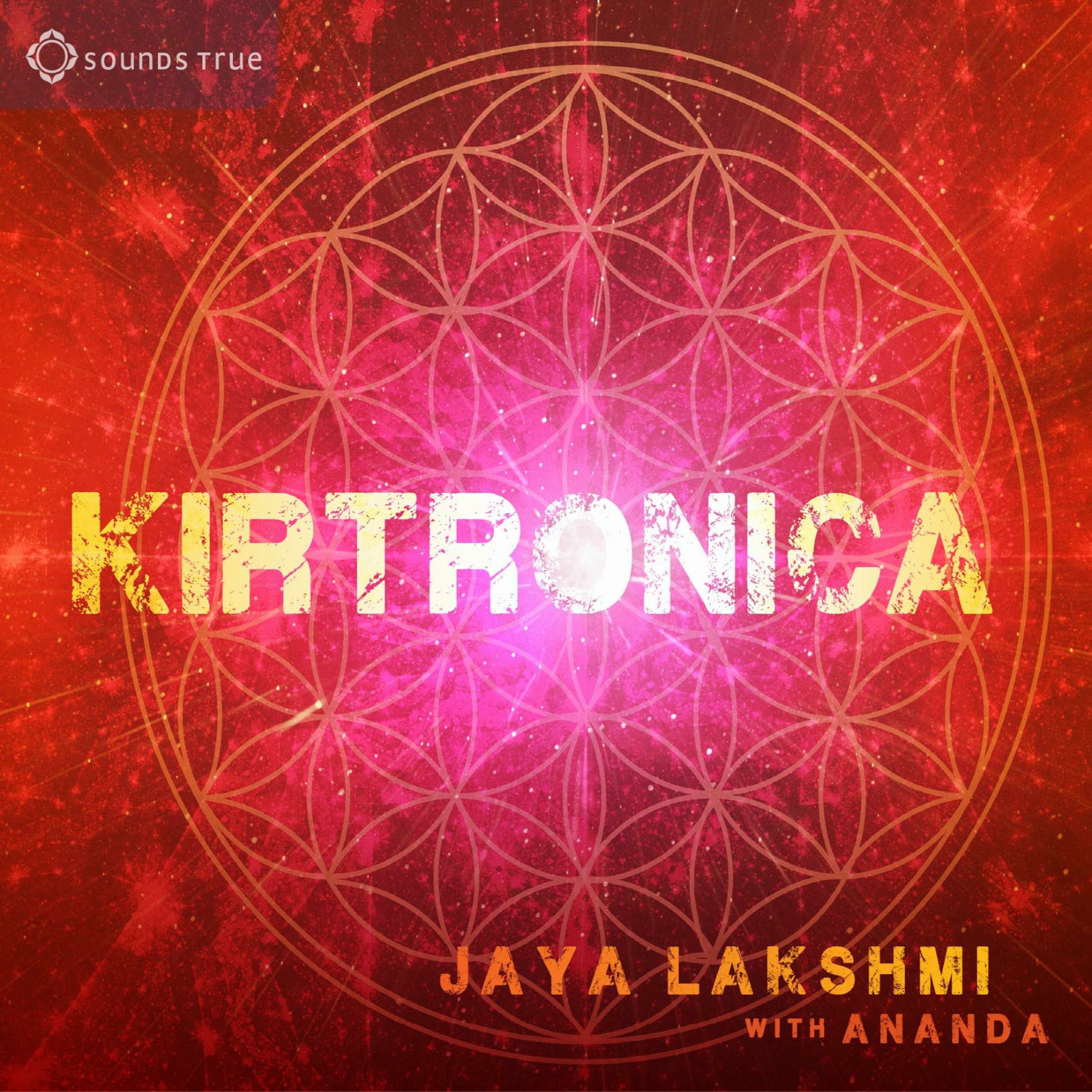 Album cover of Kirtronica