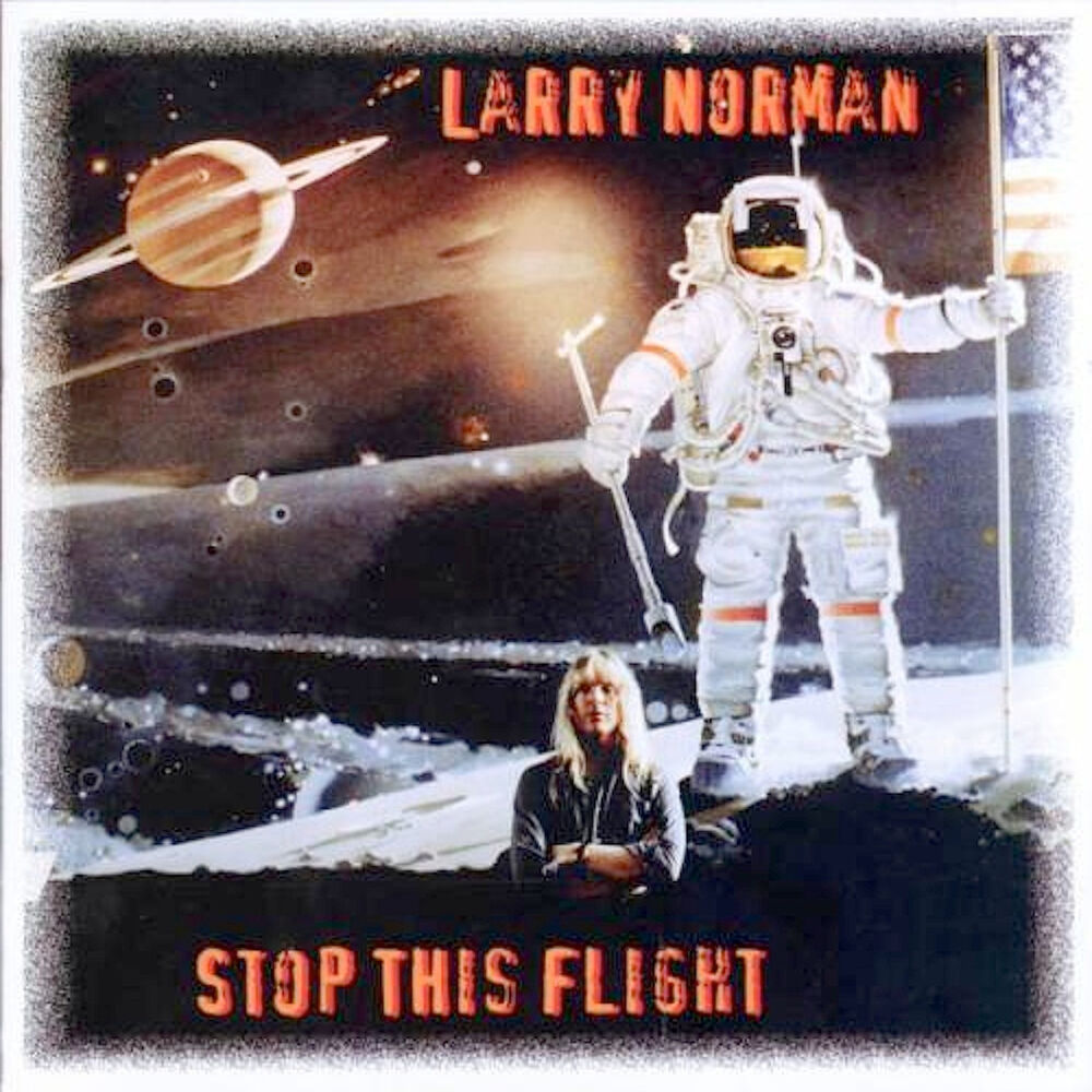 Picture of Stop This Flight