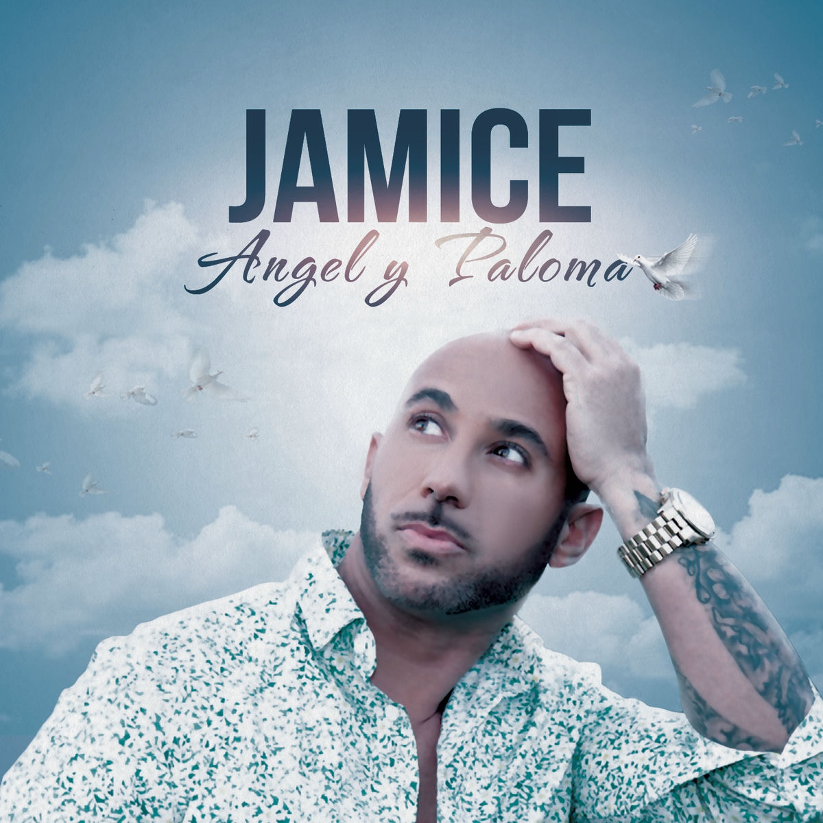 Album cover of Angel y Paloma