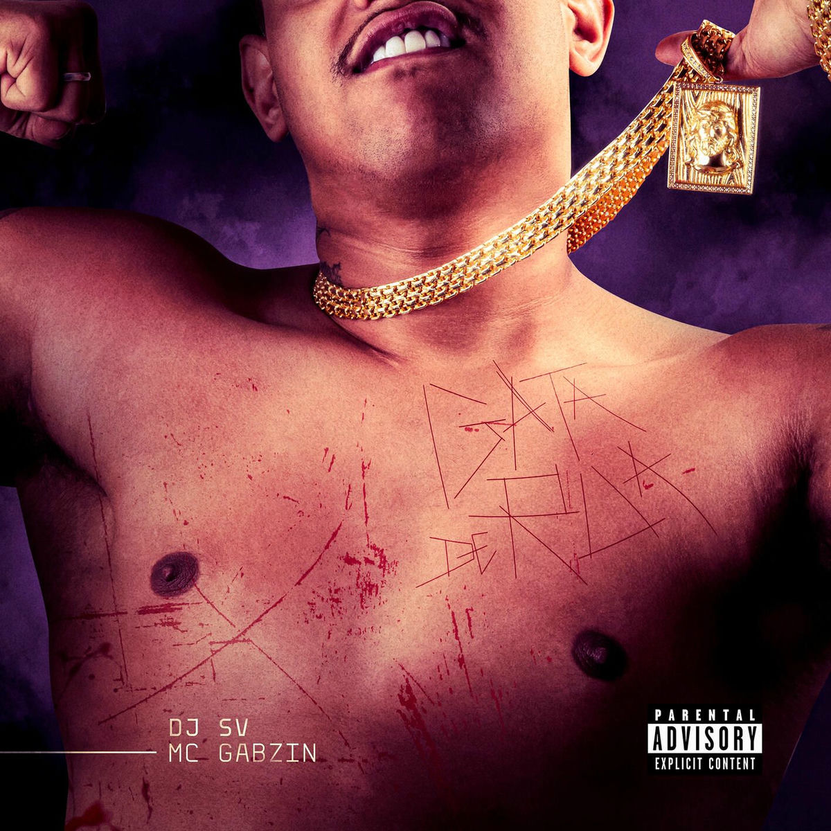 Album cover of Gata de Rua