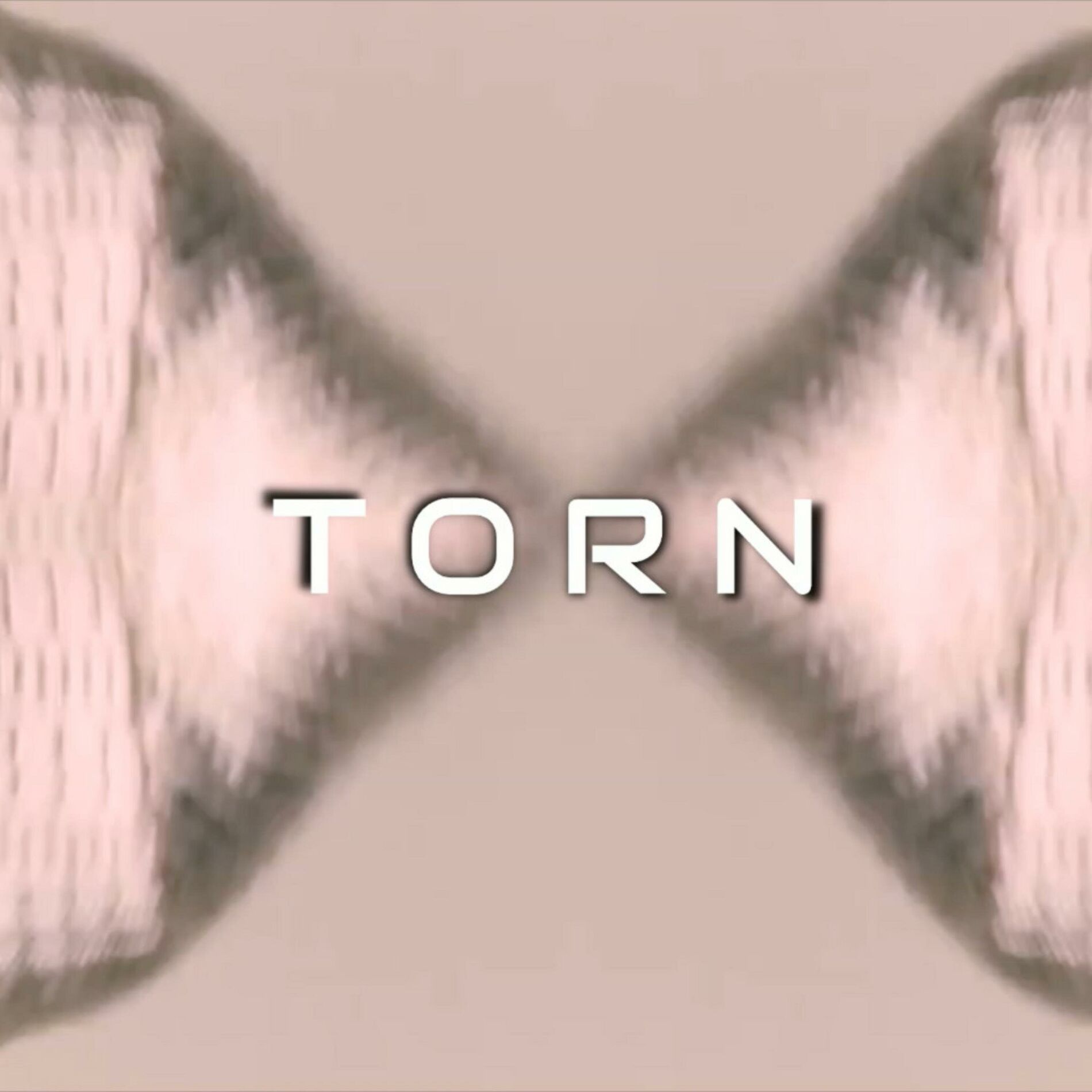 Album cover of Torn