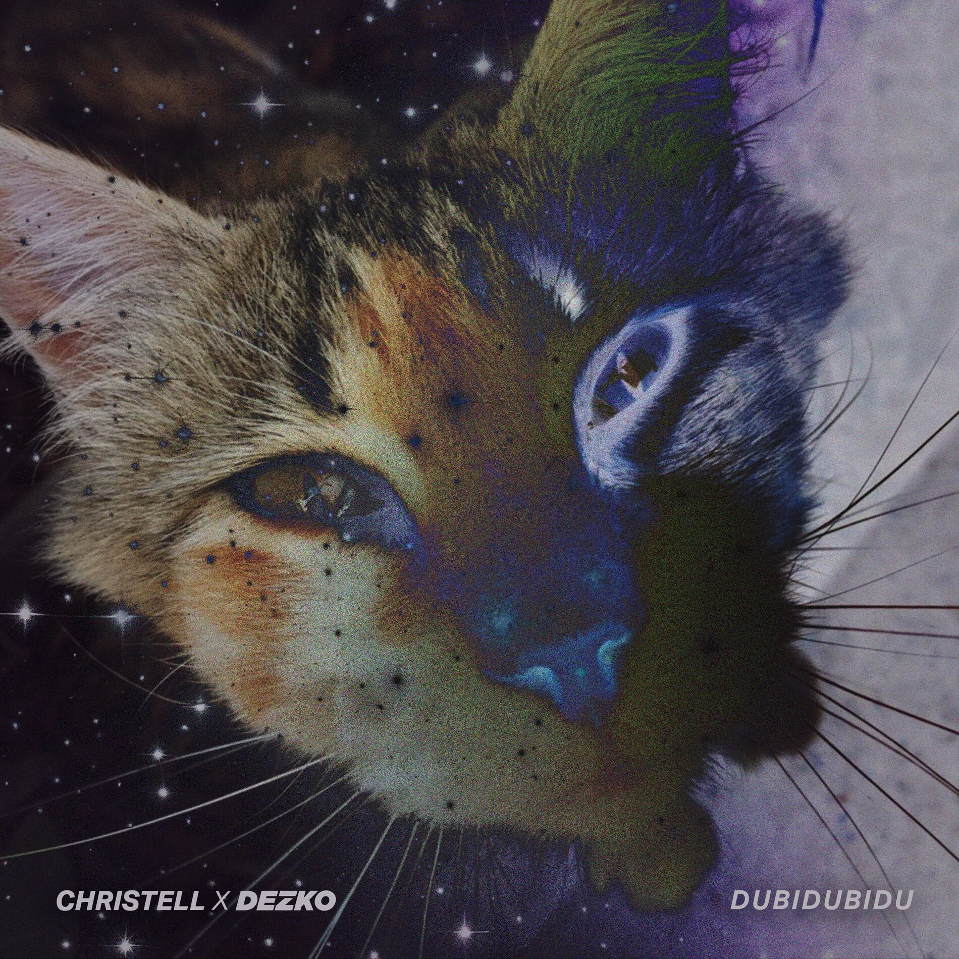 Album cover of DUBIDUBIDU