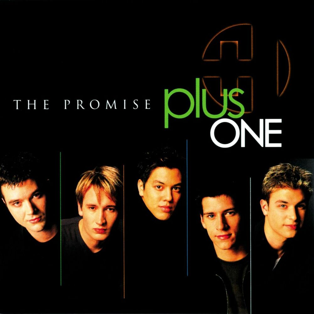 Picture of The Promise