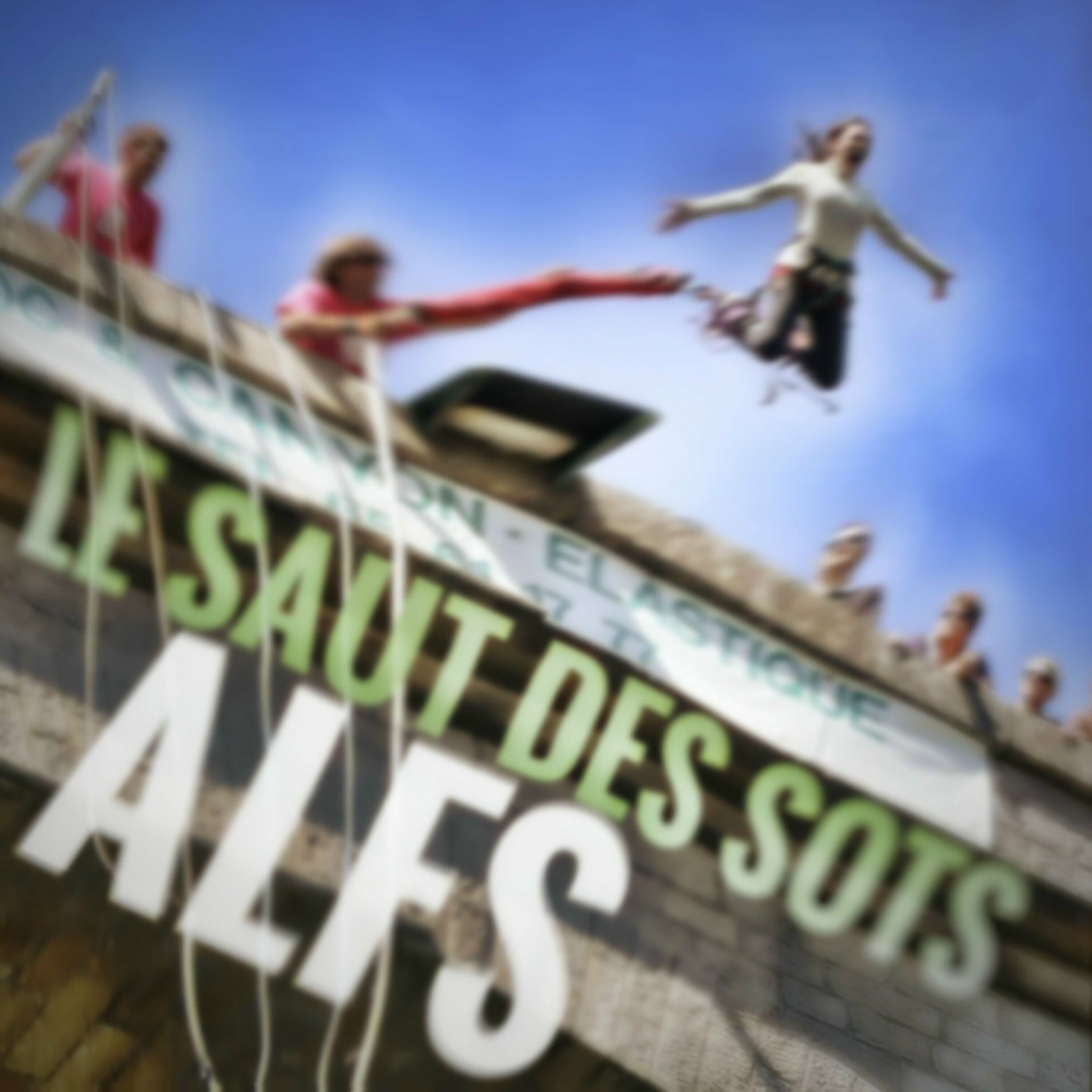 Album cover of Le saut des sots