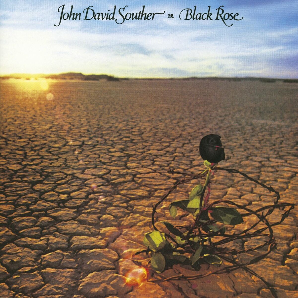 Album cover of Black Rose