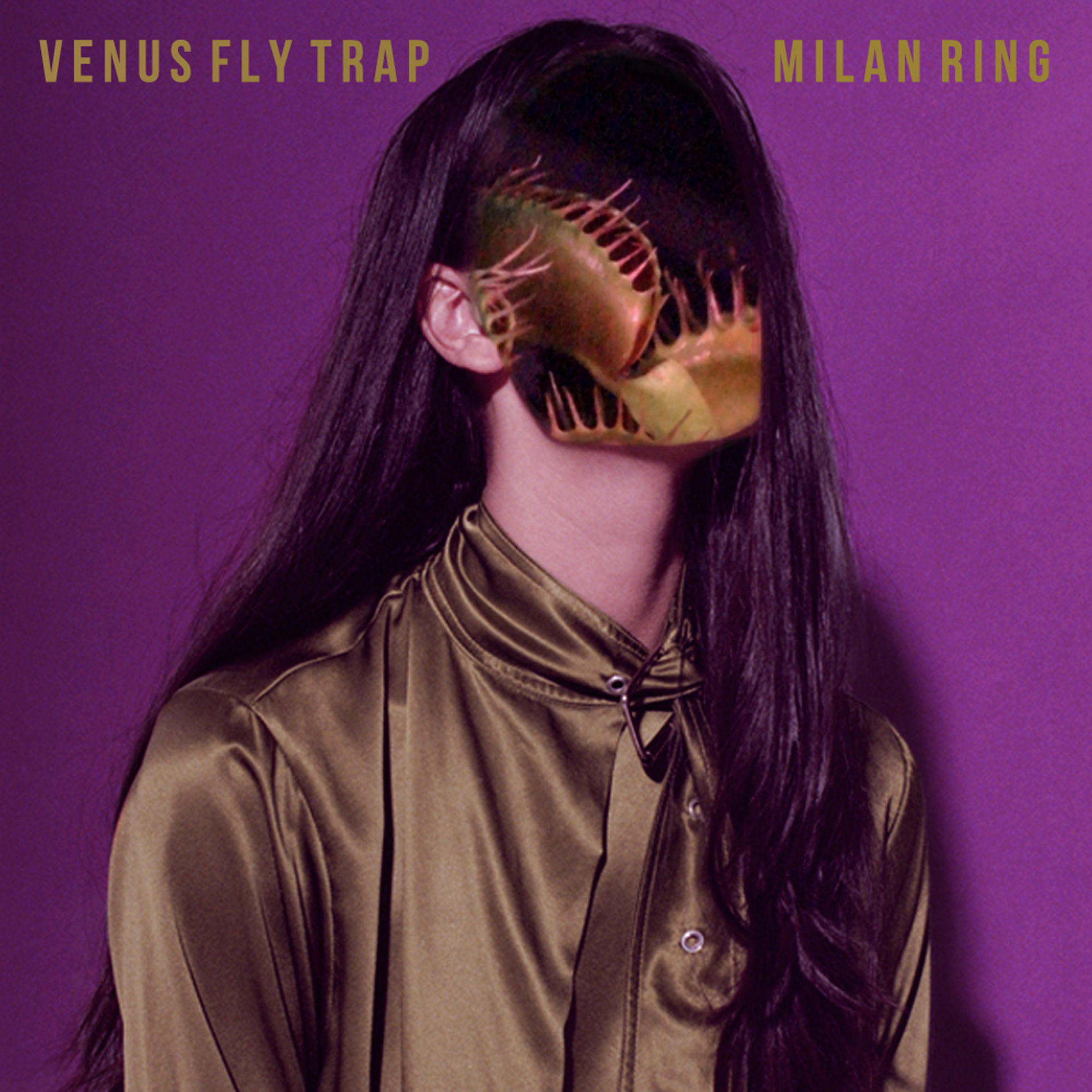 Album cover of Venus Fly Trap