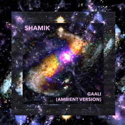 Cover of Gaali