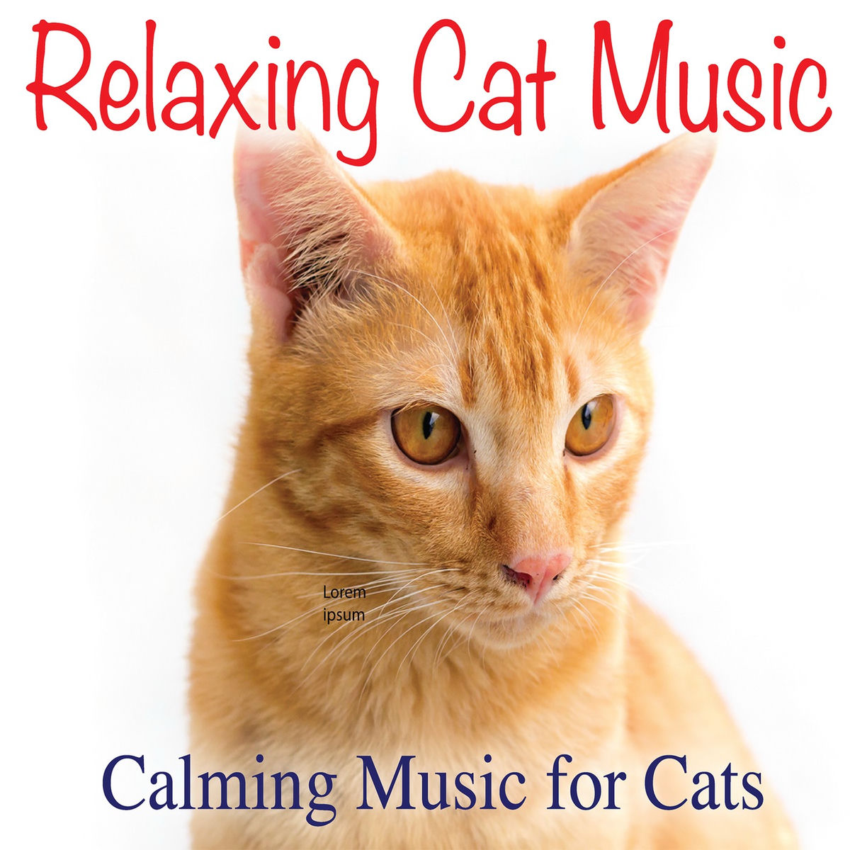 Album cover of Relaxing Cat Music: Calming Music for Cats