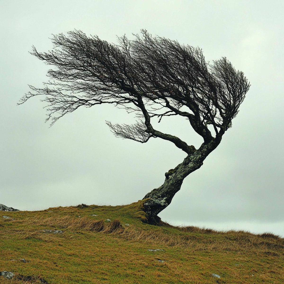 Album cover of Glass Skies
