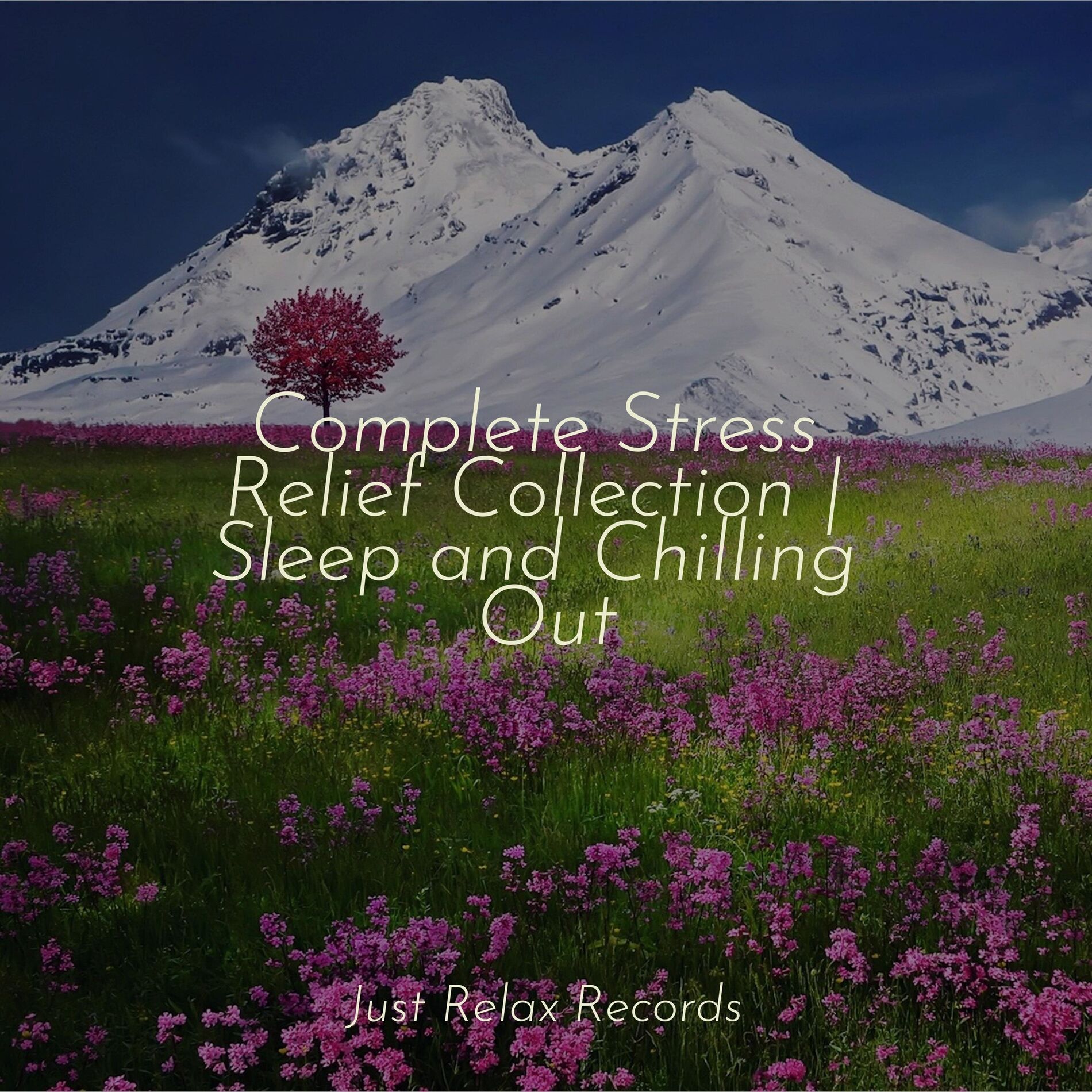 Album cover of Complete Stress Relief Collection | Sleep and Chilling Out