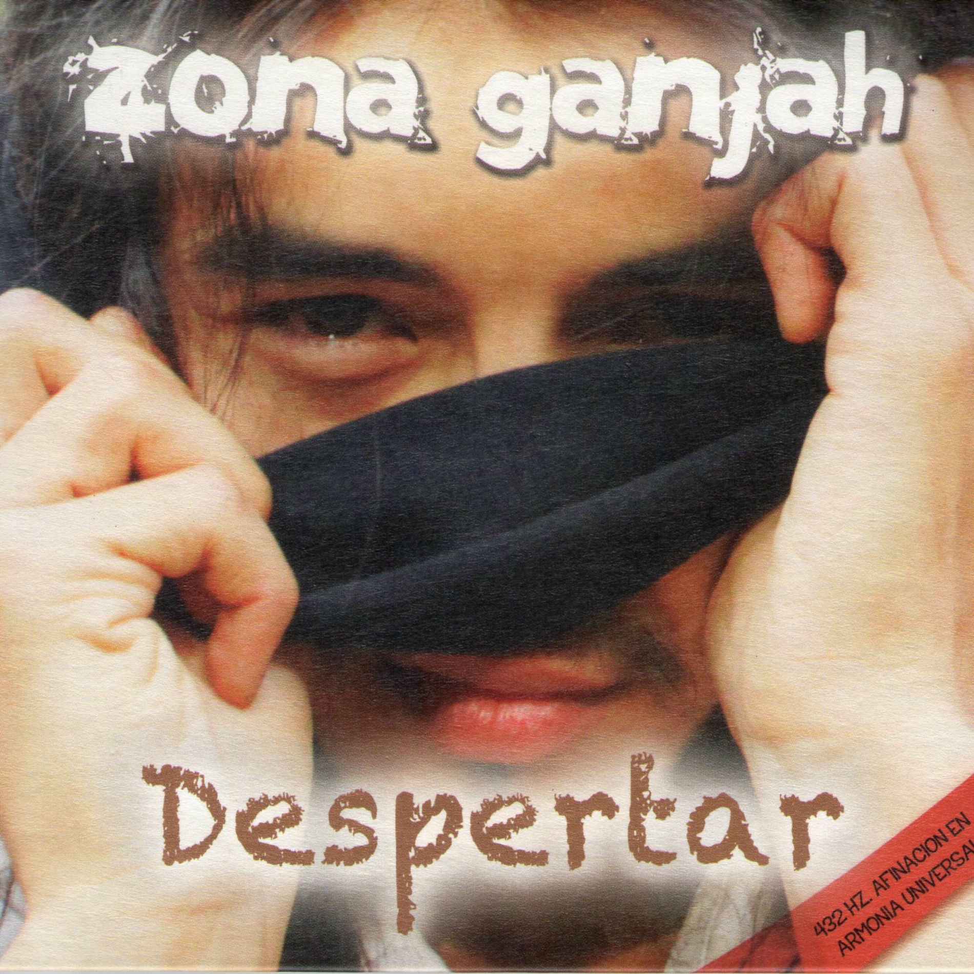 Album cover of Despertar
