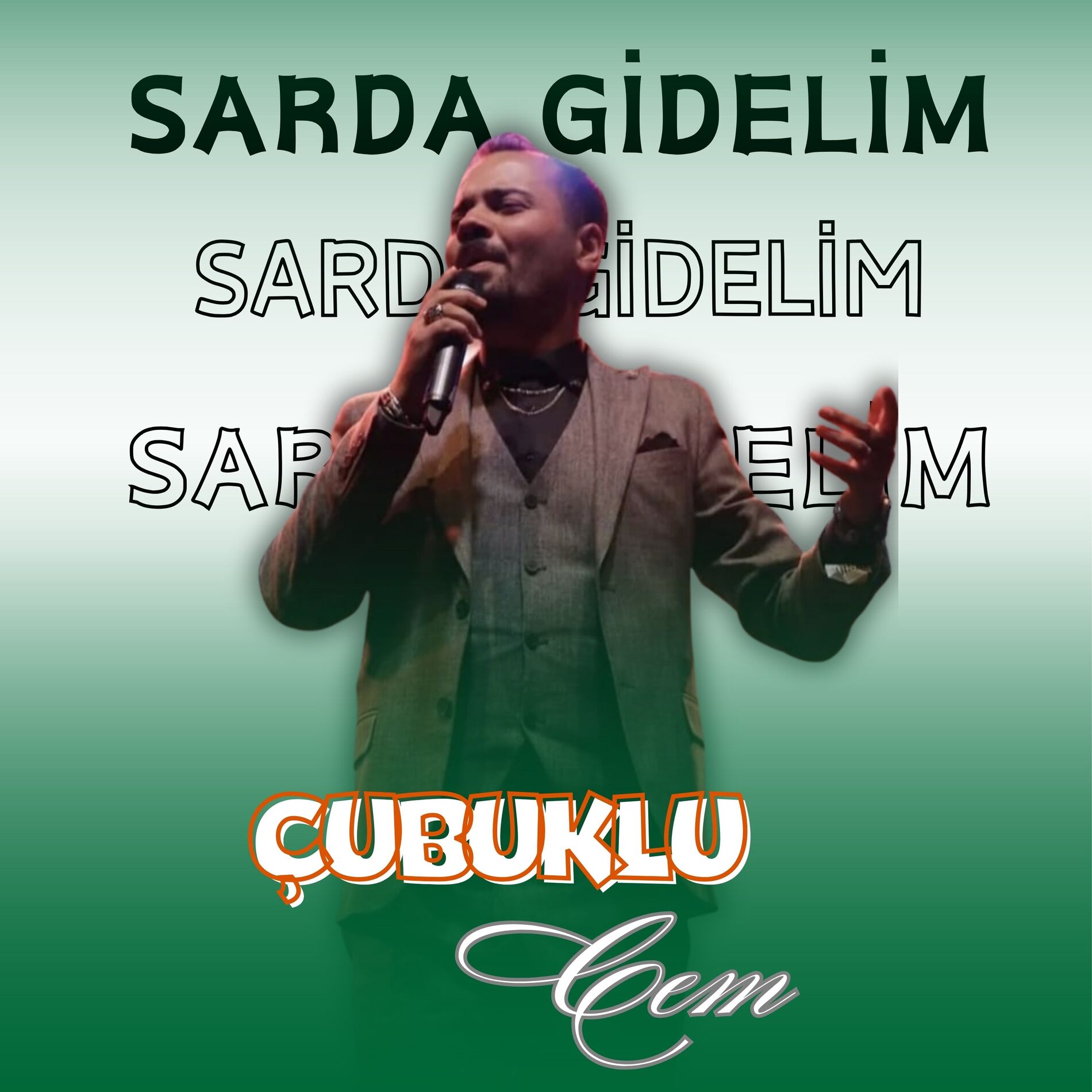 Album cover of Sarda Gidelim