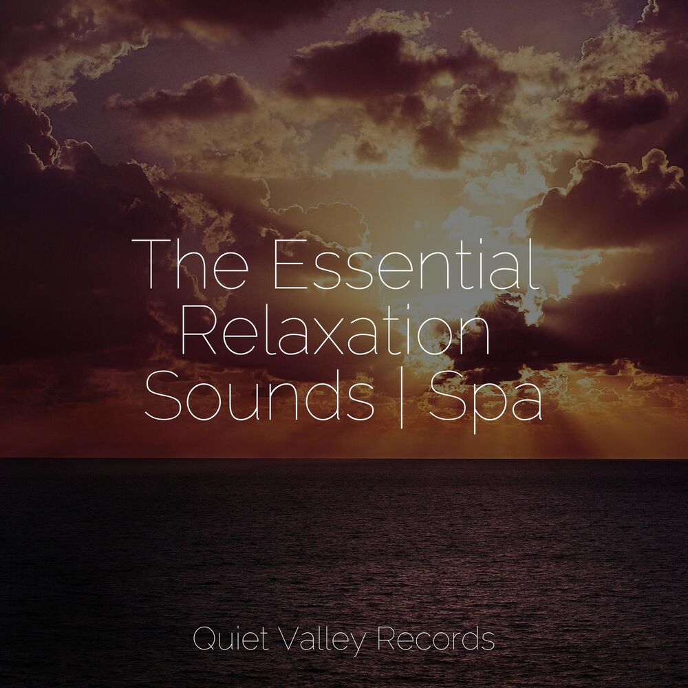 Picture of The Essential Relaxation Sounds | Spa