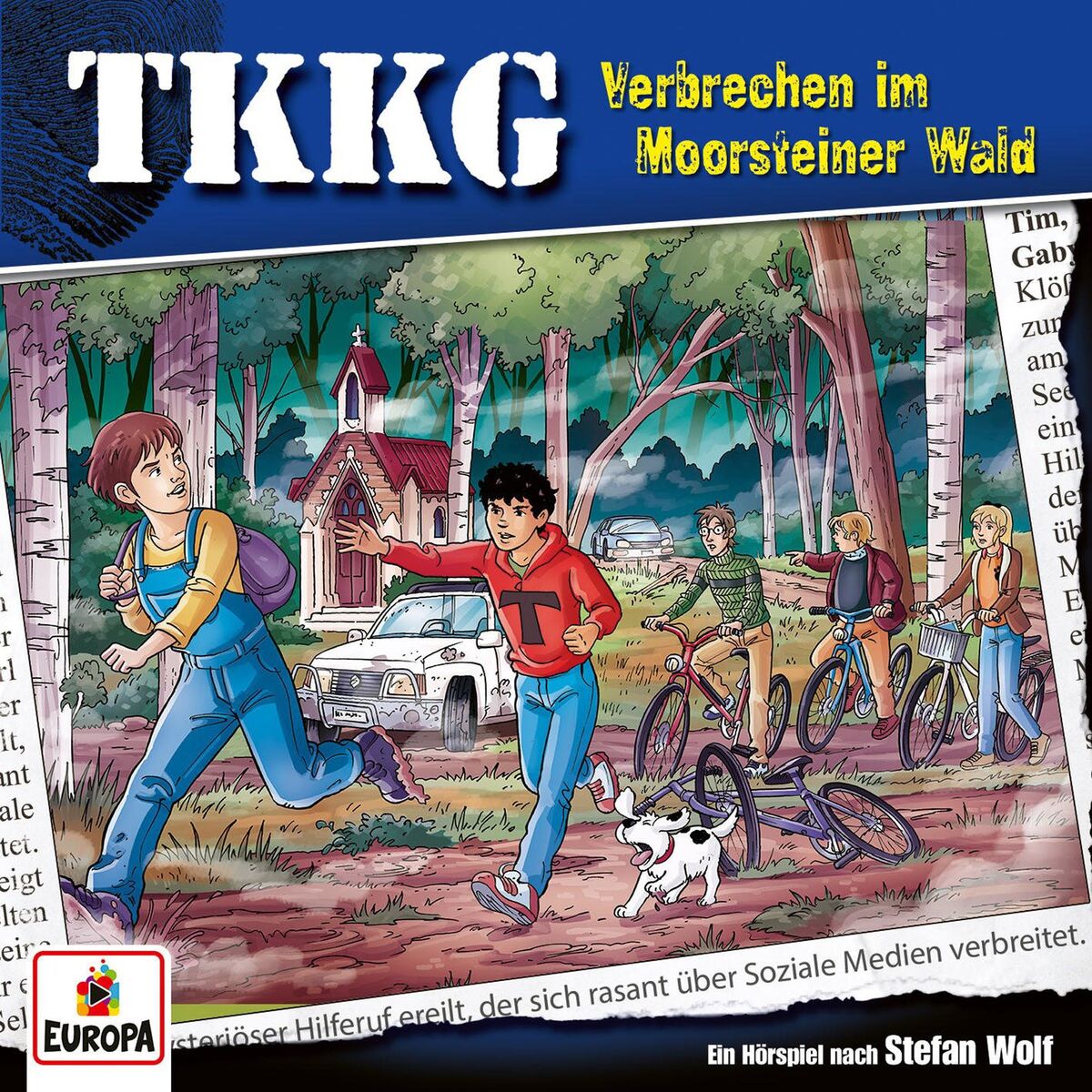 Album cover of 215 - Verbrechen im Moorsteiner Wald