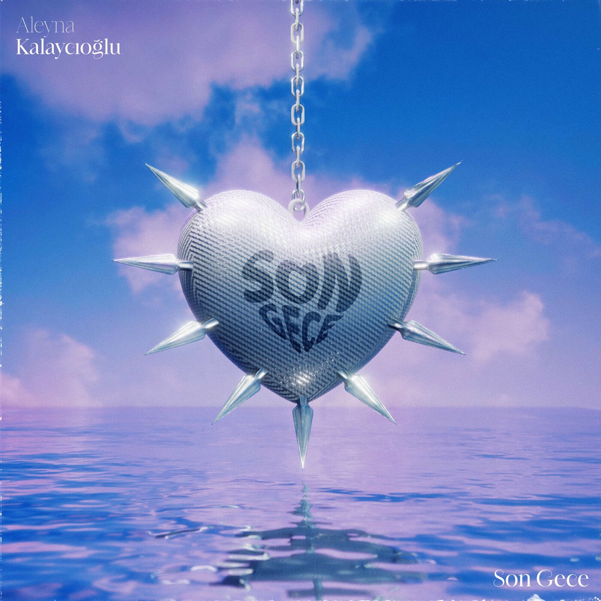 Album cover of SON GECE