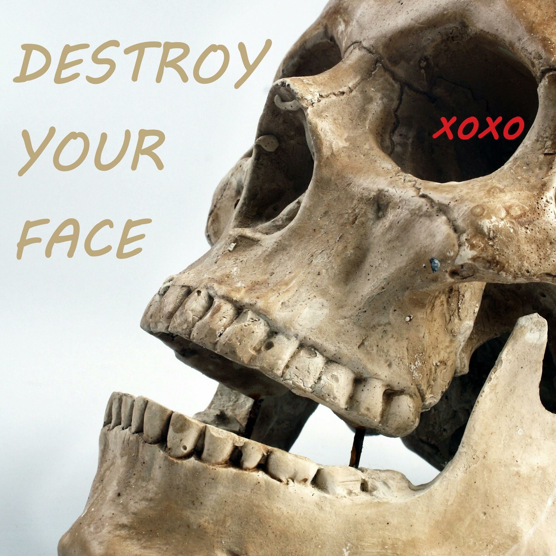 Album cover of DESTROY YOUR FACE