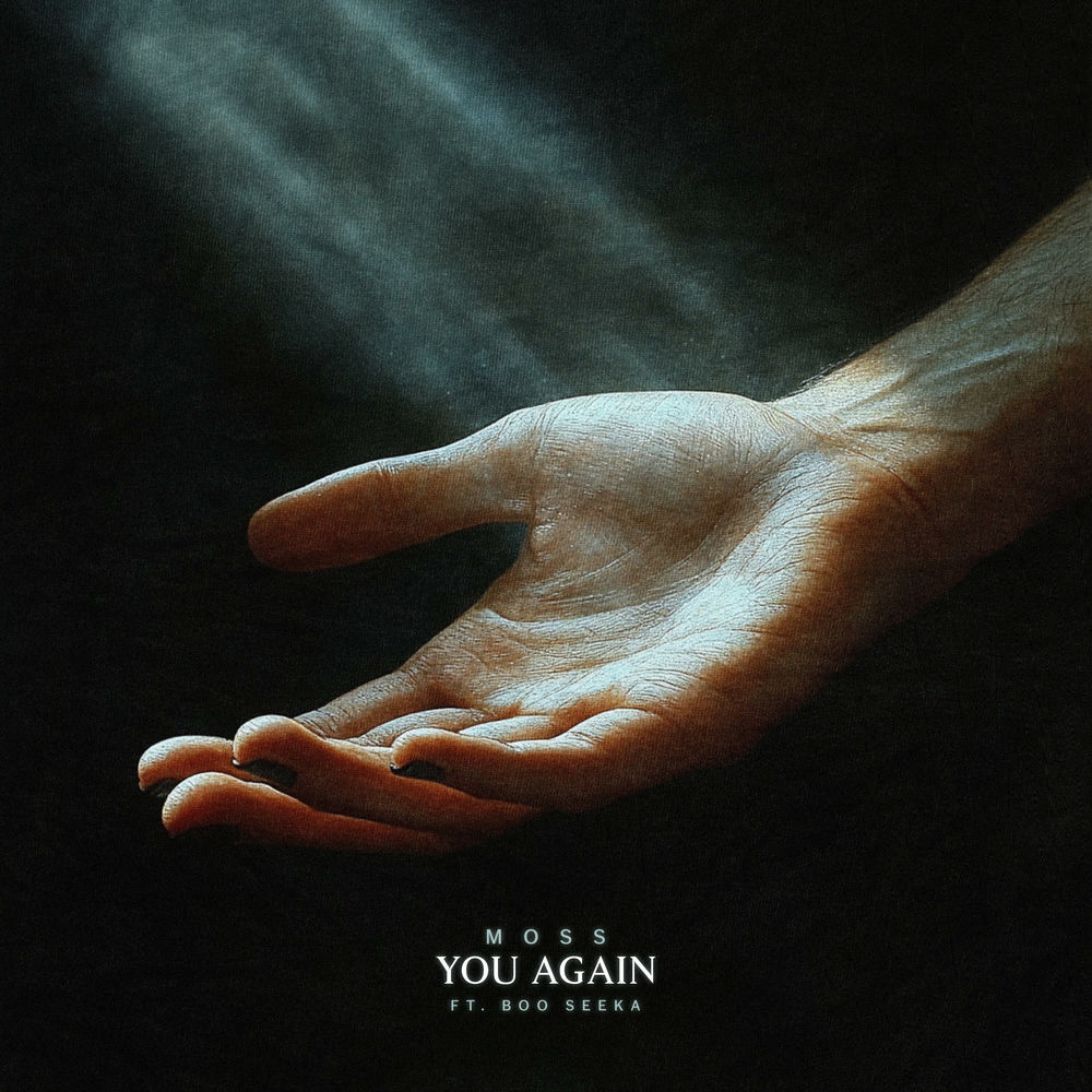 Album artwork for You Again by BOO SEEKA