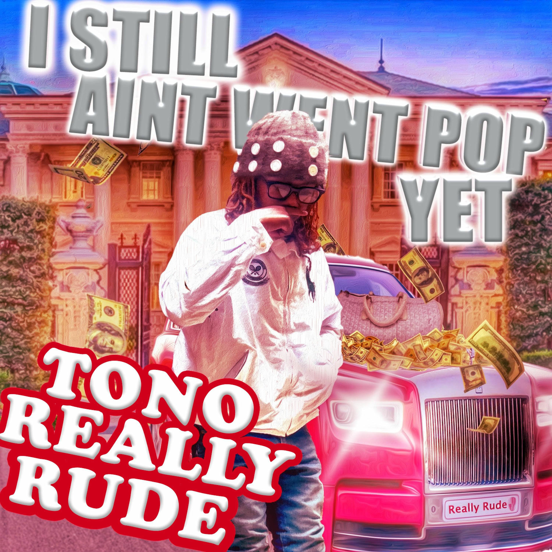 Album cover of I STILL AINT WENT POP YET