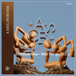 Cover of Into Perspective by undefined