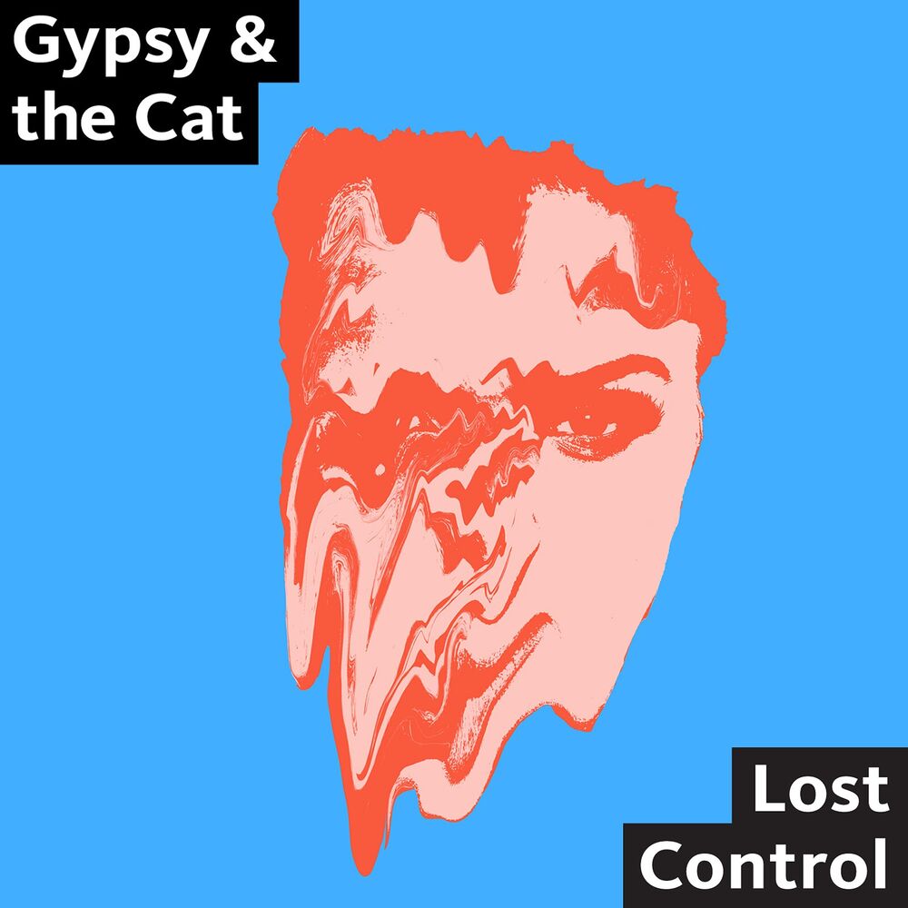 Picture of Lost Control