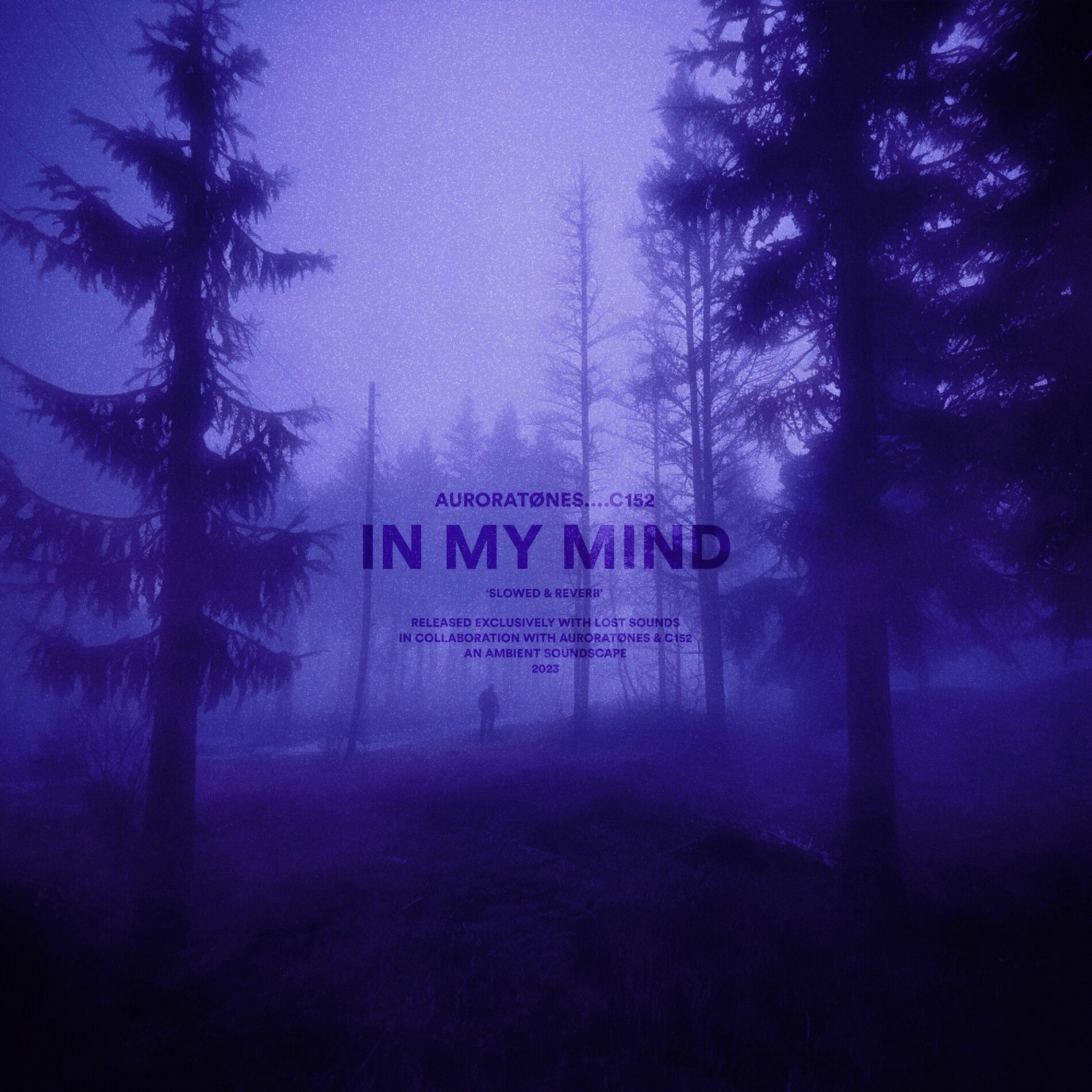 Album cover of in my mind (slowed + reverb)