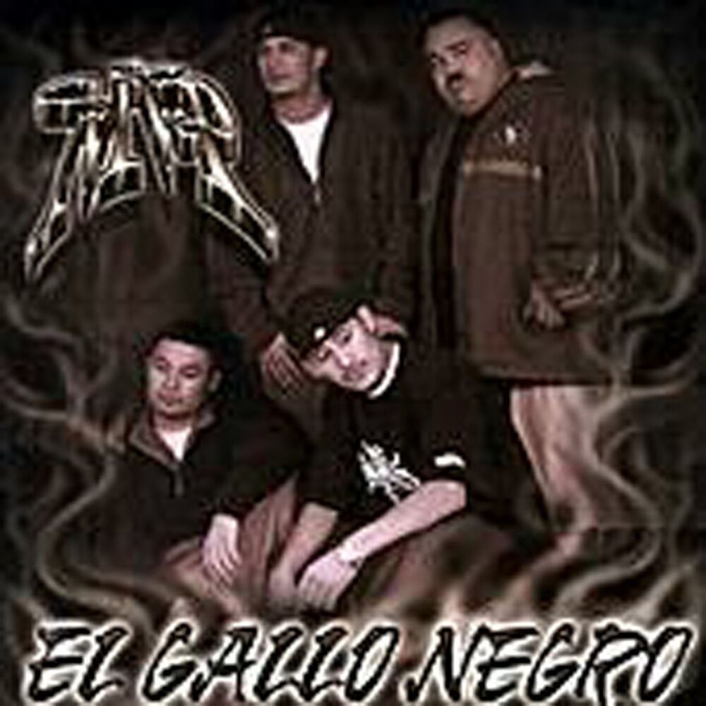 Picture of El Gallo Negro