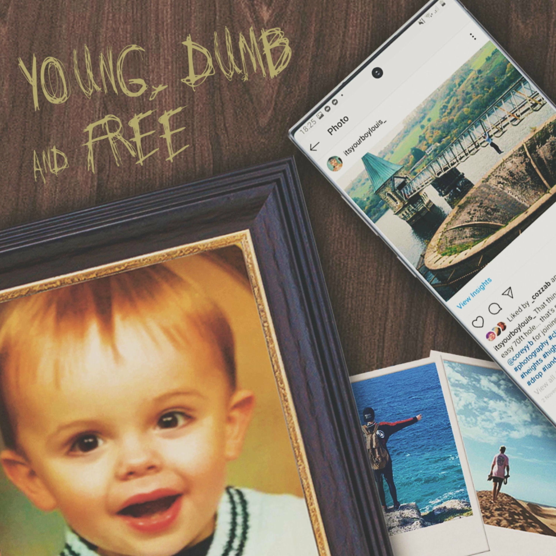 Album cover of Young, Dumb & Free