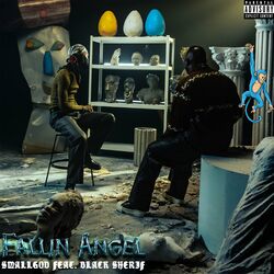 Cover of Fallen Angel