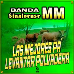 Cover of Las Mejores Pá Levantar Polvadera