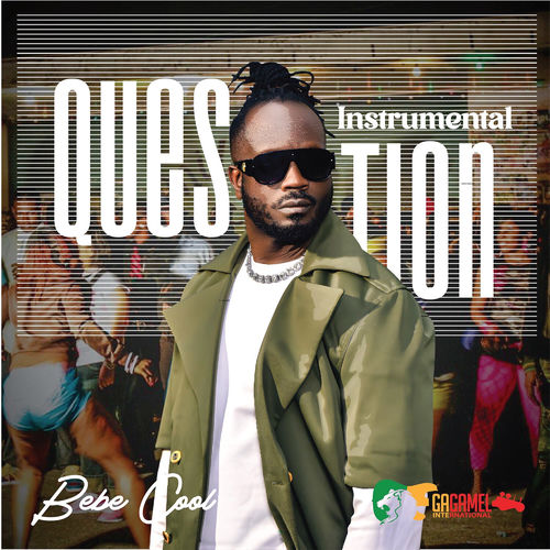 Question (Instrumental) sleeve