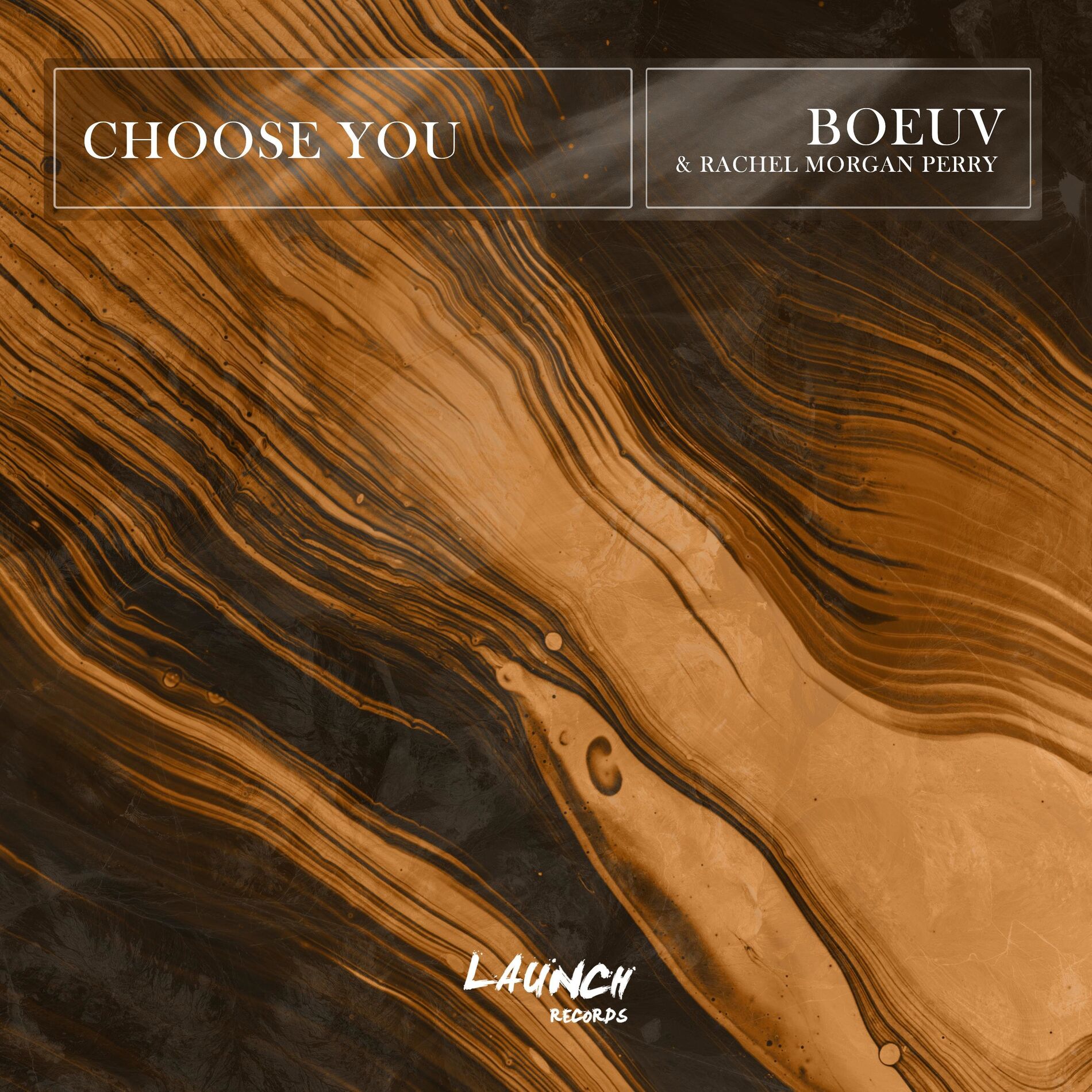 Album cover of Choose You