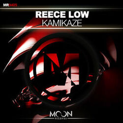 Cover of Kamikaze