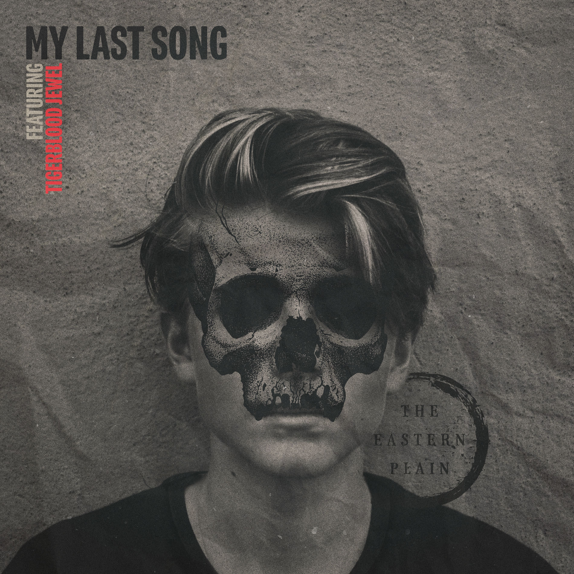Album cover of My Last Song (Tigerblood Jewel Remix)