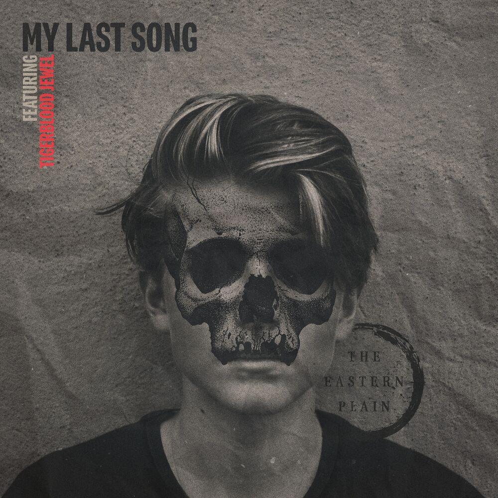 Picture of My Last Song