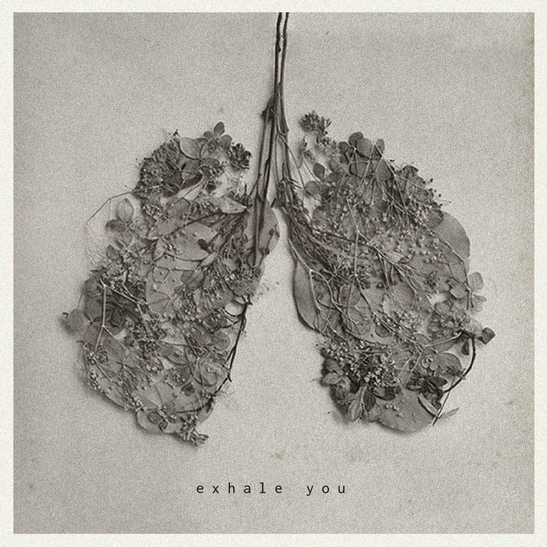 Album cover of Exhale You