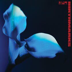 Cover of Birthmarks