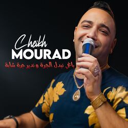 Cover of باغي نبدل الجرة و ندير جرة شابة