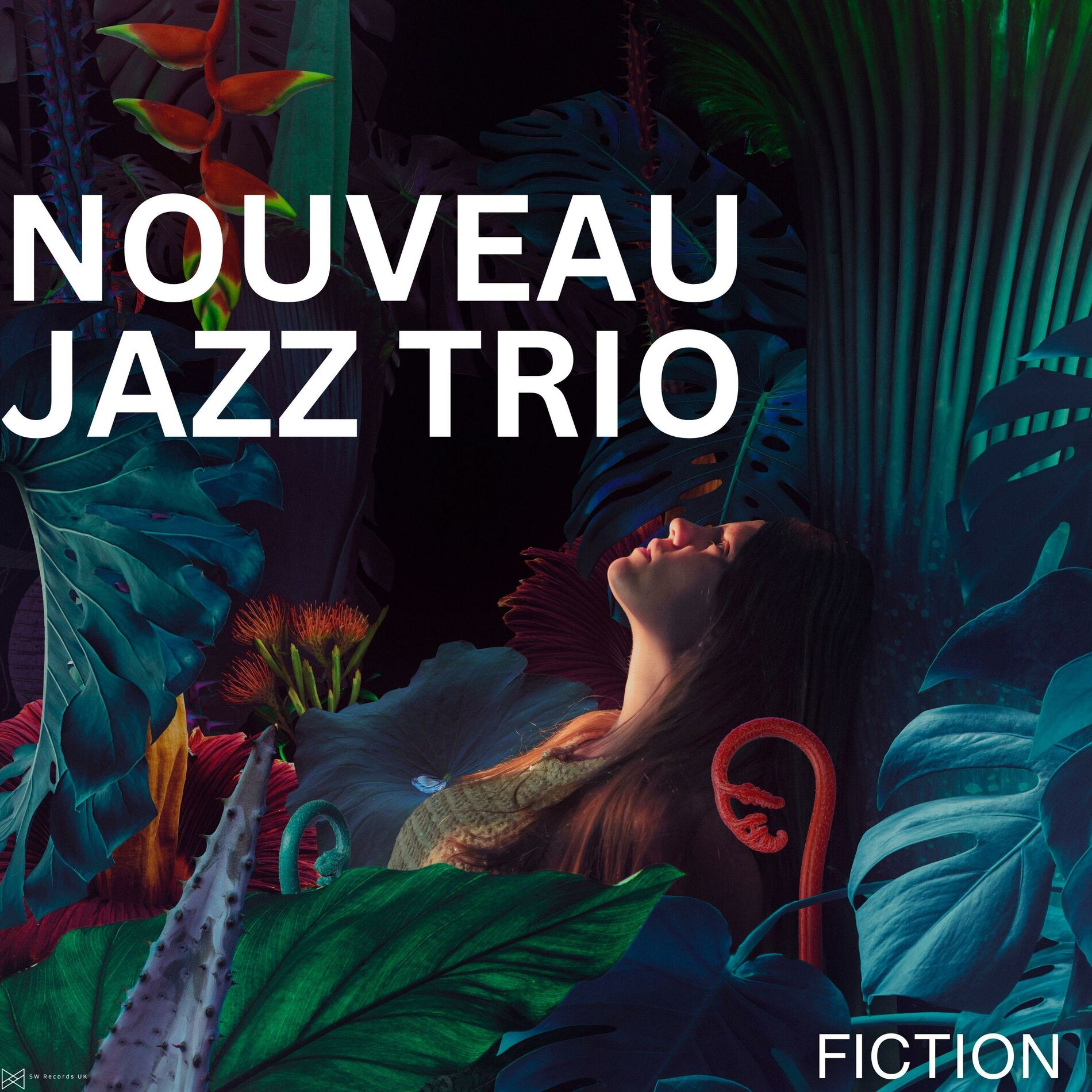 Album cover of Fiction