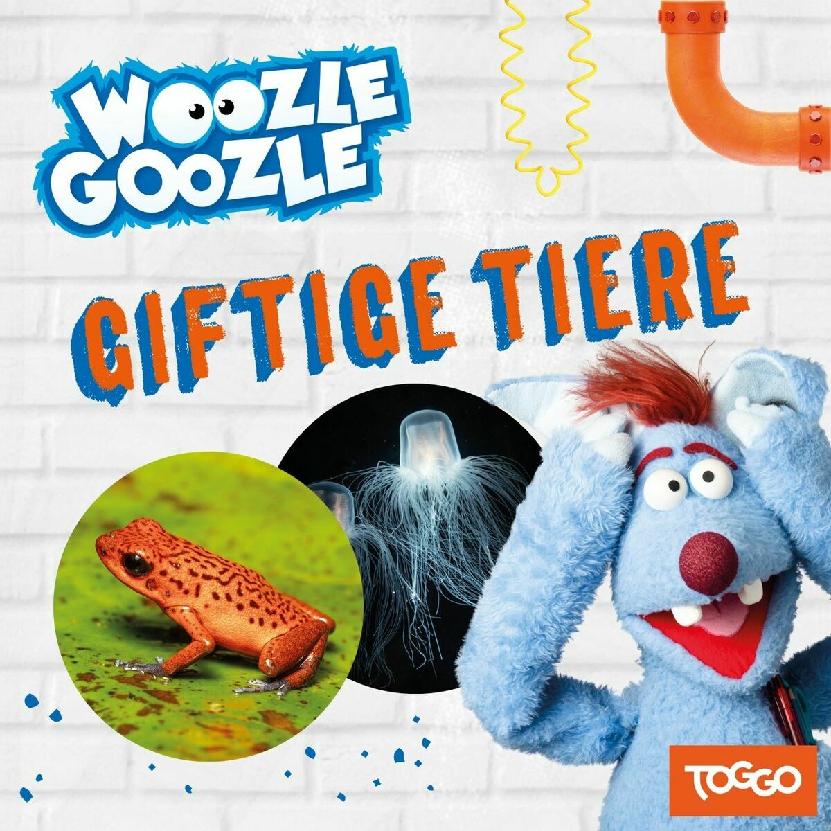 Album cover of Folge 17: Giftige Tiere (Das Original-Hörspiel zur TV-Serie)