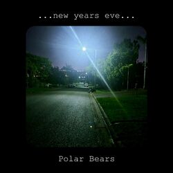 Cover of ...new years eve...