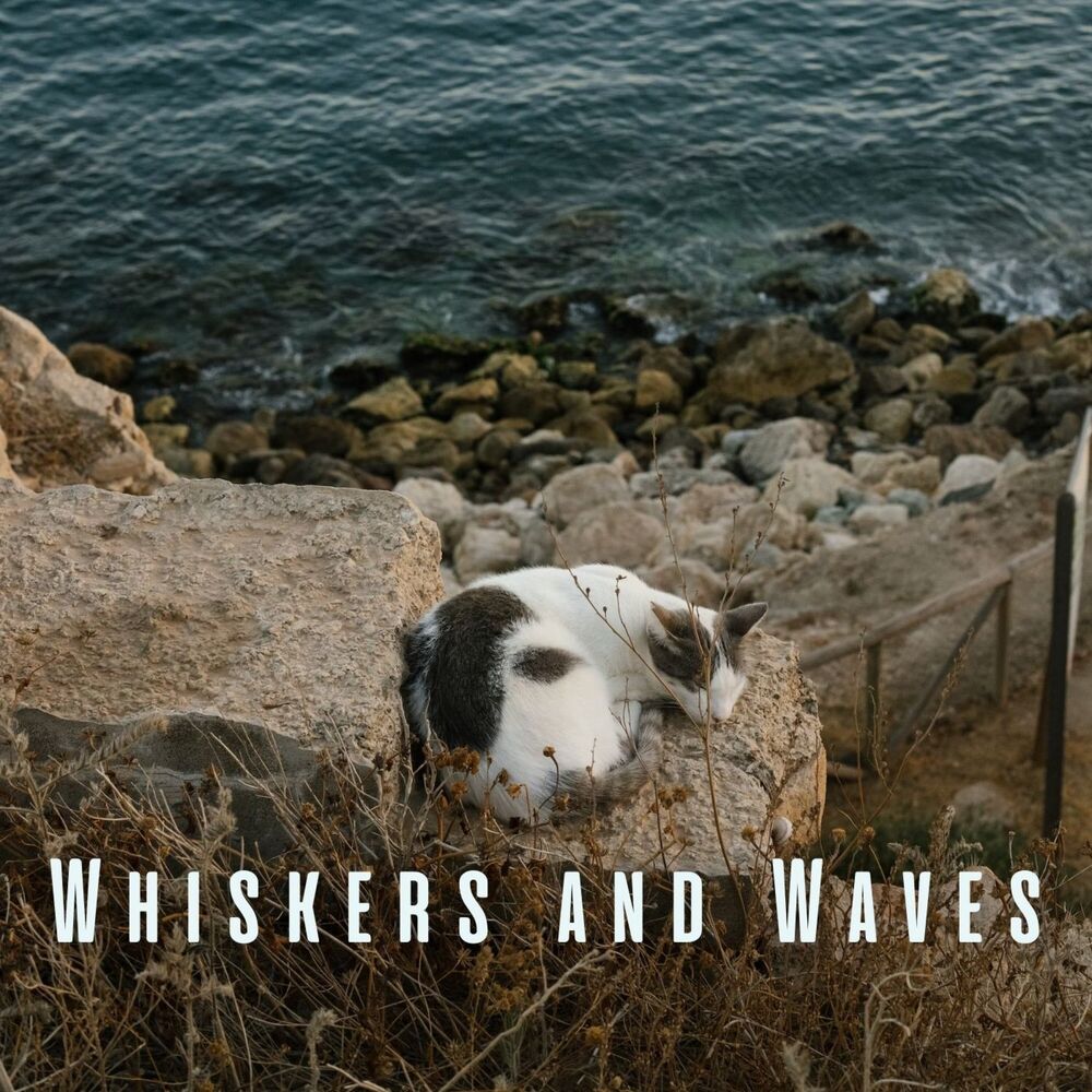 Picture of Whiskers and Waves: Ocean and Chill Sounds for Cats