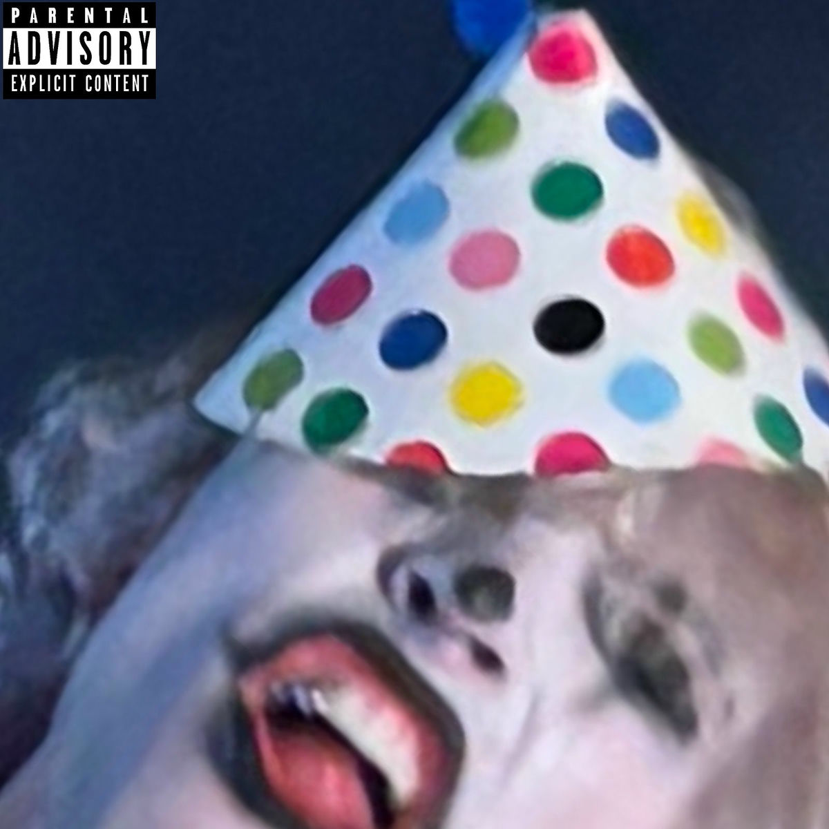 Album cover of #1 Birthday Boy